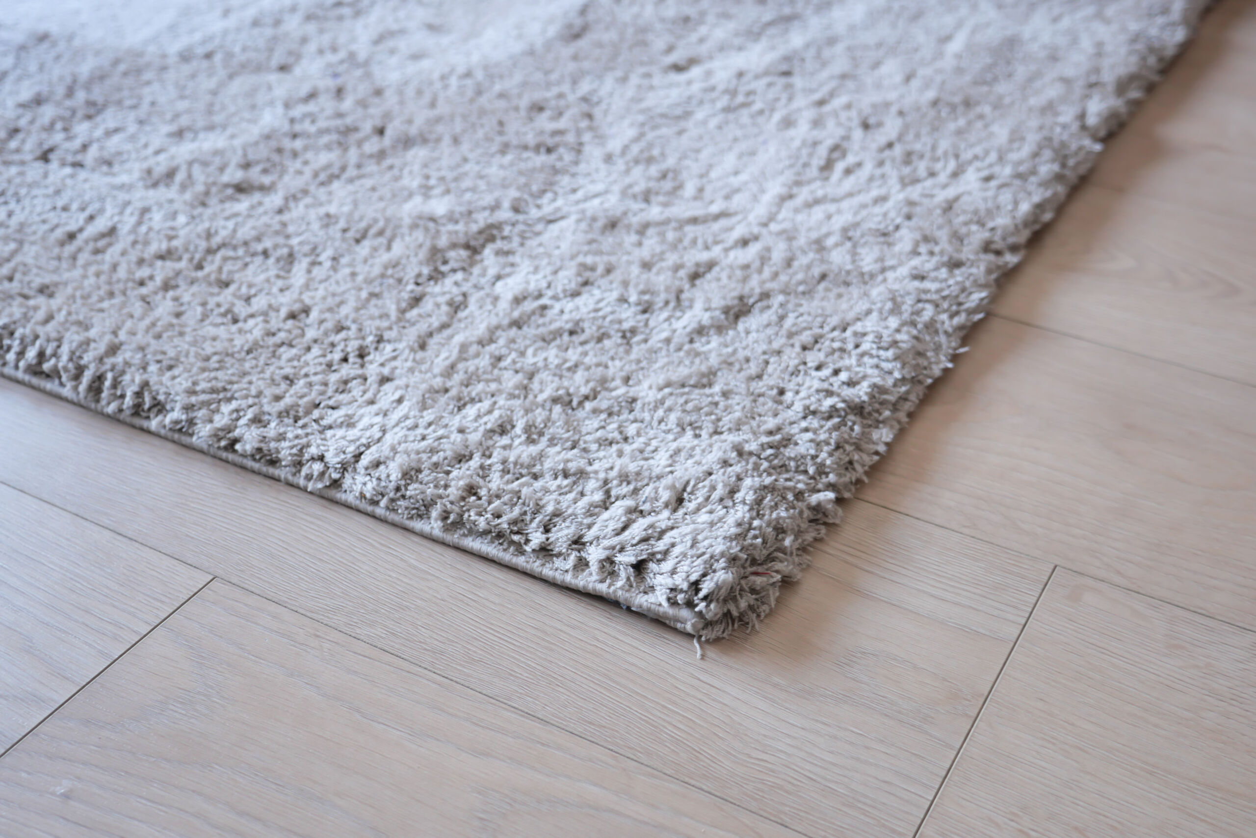 Servicio de limpieza de alfombras a domicilio en un hogar de Valencia.